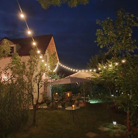Forest Inn Izvorani Dış mekan fotoğraf