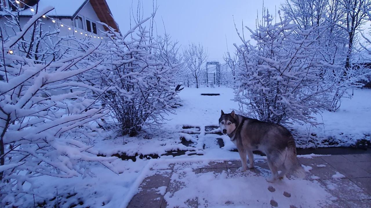 Forest Inn Izvorani Dış mekan fotoğraf