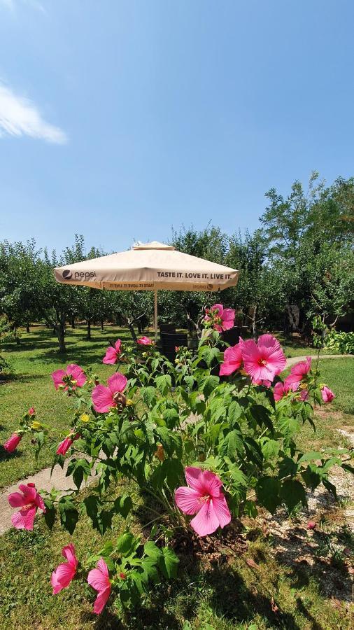 Forest Inn Izvorani Dış mekan fotoğraf