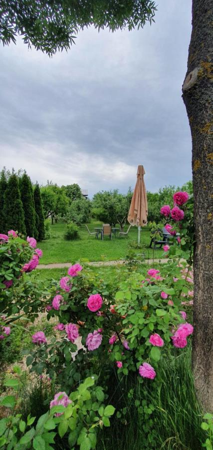 Forest Inn Izvorani Dış mekan fotoğraf