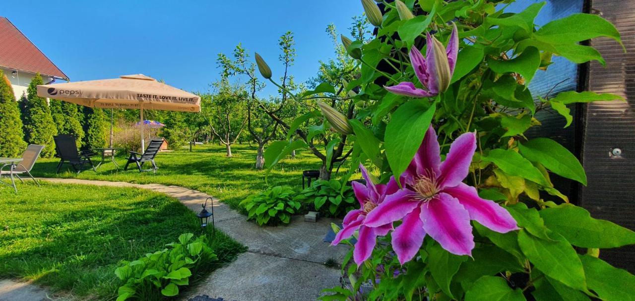 Forest Inn Izvorani Dış mekan fotoğraf